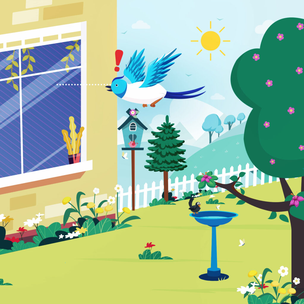 Bird can now visually identify marked window